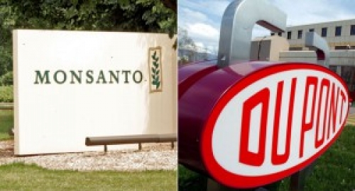 Monsanto и DuPont подписаха споразумение за сътрудничество